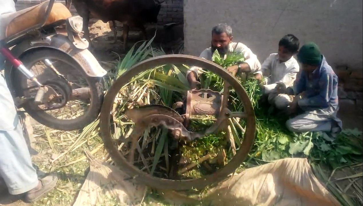 Pakistani Jagaar