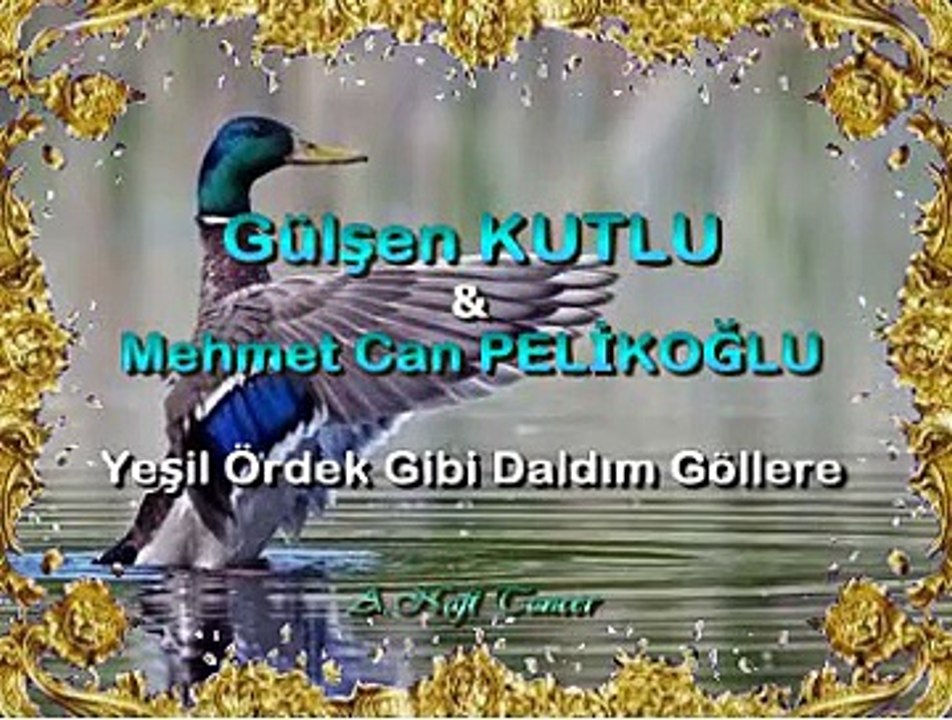 Gülşen KUTLU & Mehmet Can PELİKOĞLU *Yeşil Ördek Gibi Daldım Göllere*