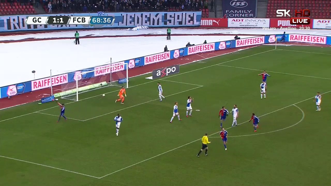 Shkelzen Gashi 1:2 | Grasshoppers - Basel 08.02.2015 HD