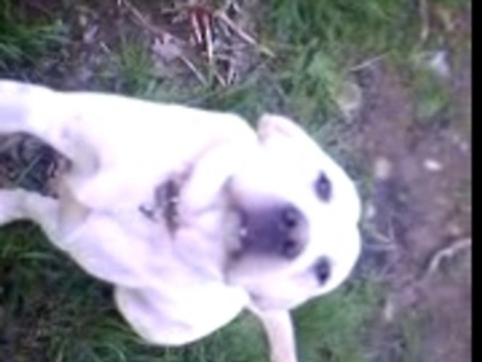 VIDEO_00006
