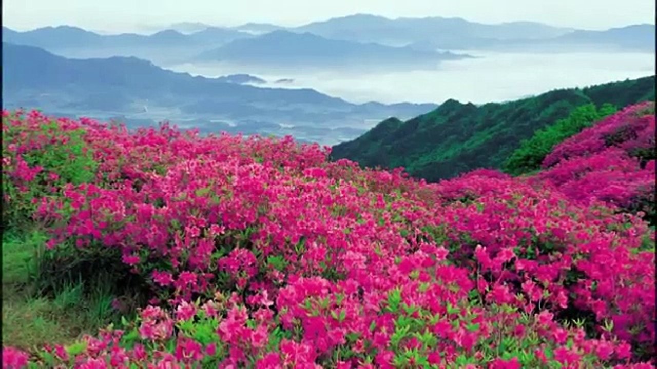 Serap Tamay ♫♥♪  Zati de Vurgunum Sana ♫♥♪