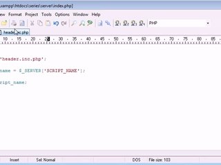 61 - $_SERVER Variables- Script Name
