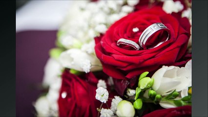 Bristol Wedding Photographer - Mr & Mrs Payne