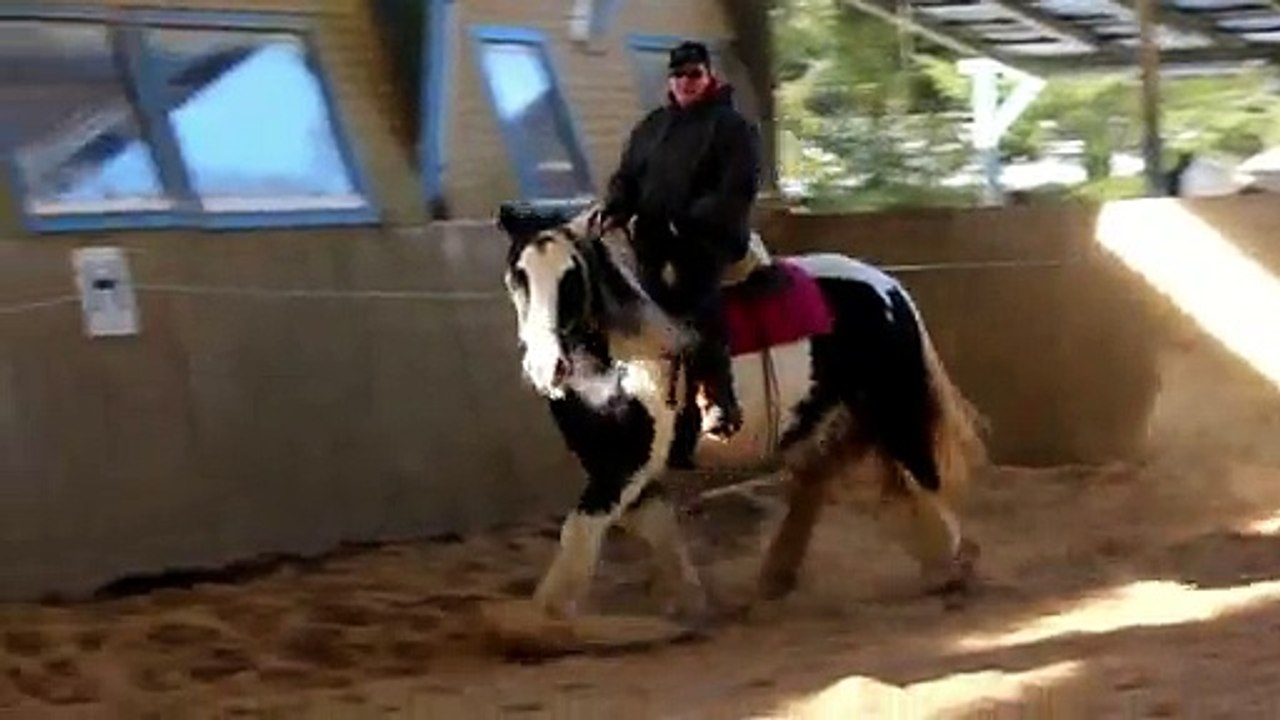 rocky und schnotterbeck