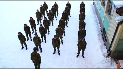 Harlem Shake (Original Army Edition)