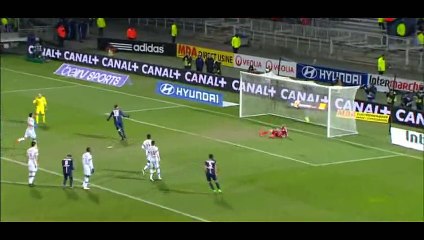 Goal Zlatan Ibrahimović - Lyon 1-1 PSG  - 08-02-2015