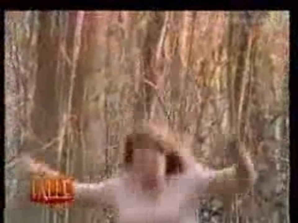 Candid camera nel bosco