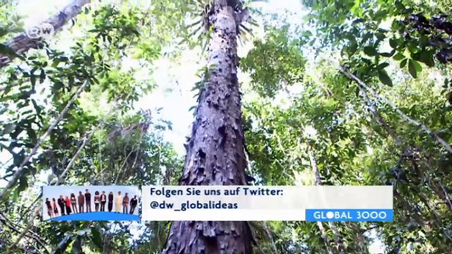 Brasilien: Nationalpark Pau Brasil | Global 3000