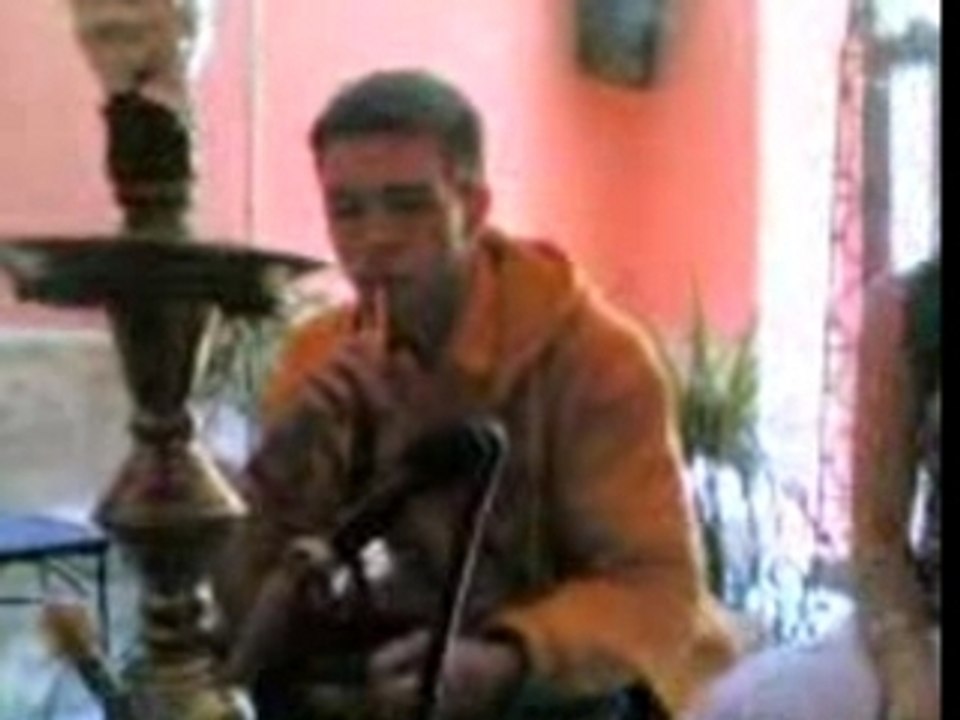 Zanzi antho chicha