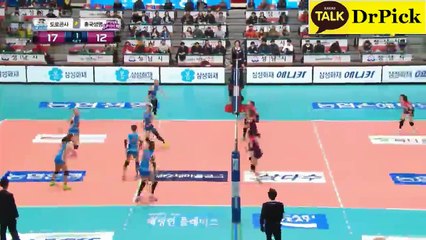【South Korea Womens Volleyball】