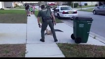 49# Un alligator arrêté à mains nues par un agent de police