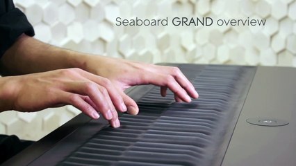 Le Seaboard, une interface musicale révolutionnaire