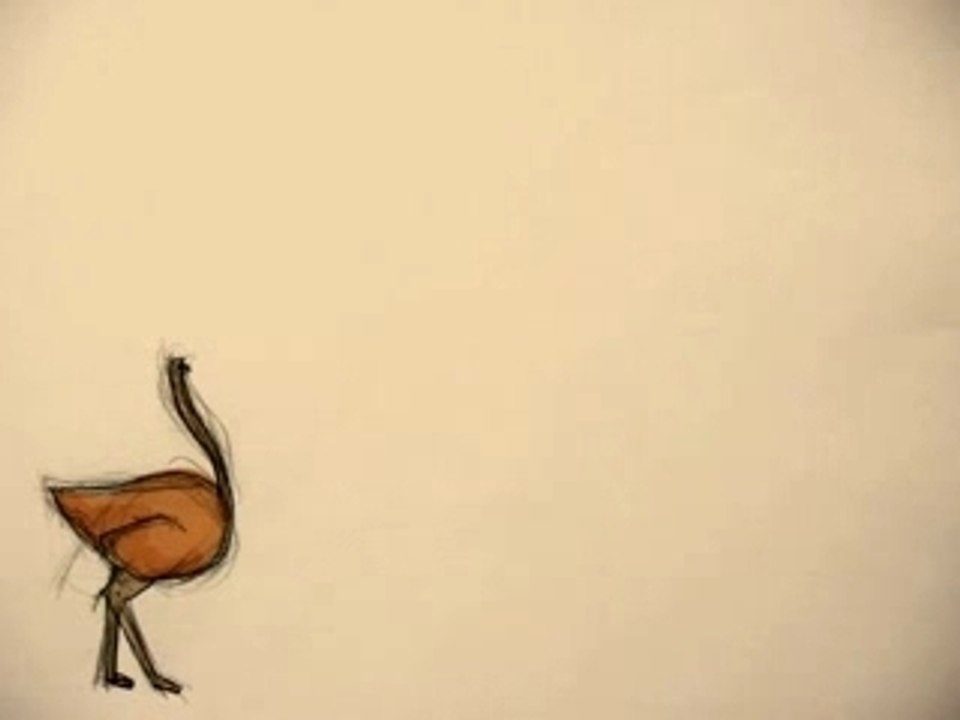 animation autruche