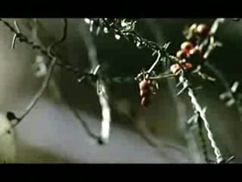 Lil Scrappy - Oh Yeah