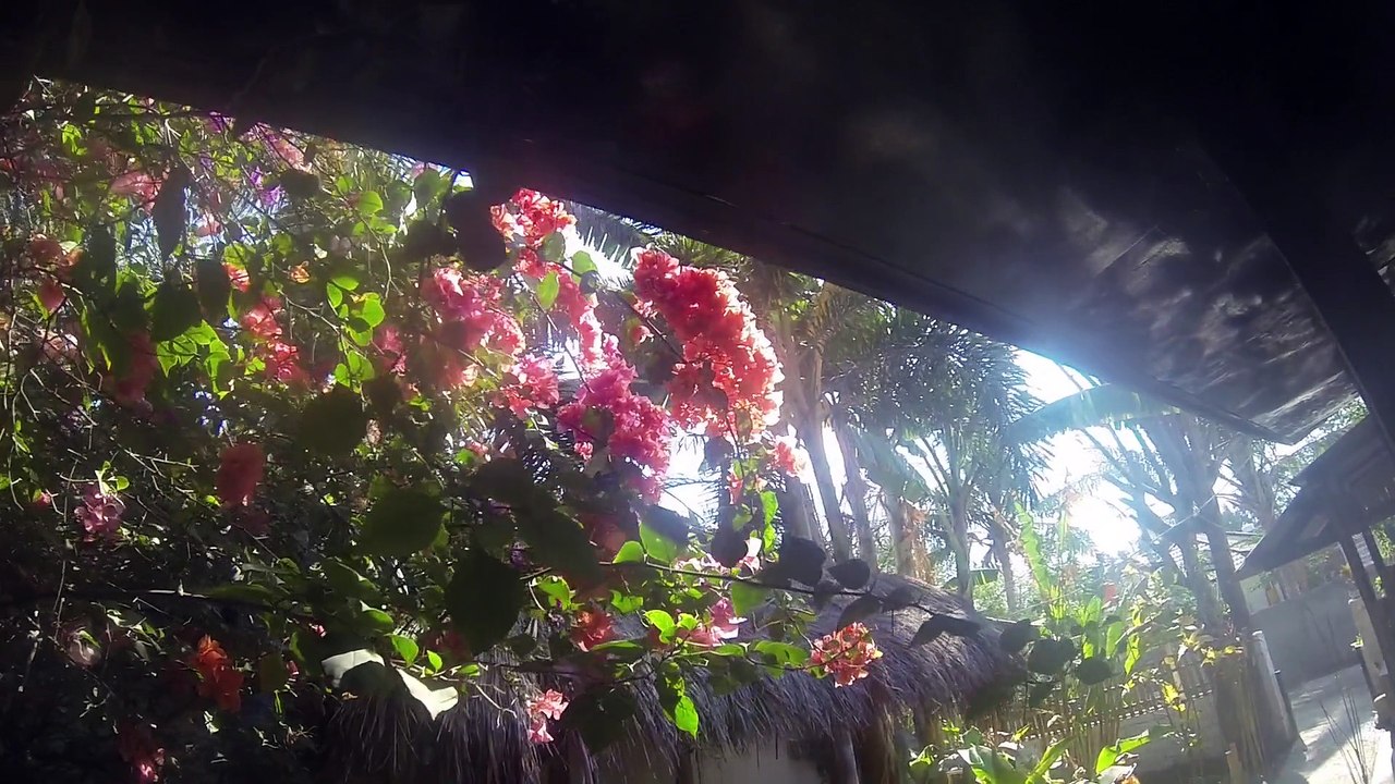 Bali Baby