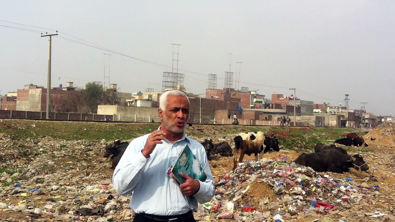 What Killed All the Vultures of Pakistan?