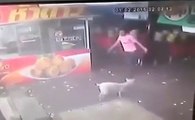 What happened to the man trying to kick the dog 'oh me the fat melt' the kind th...