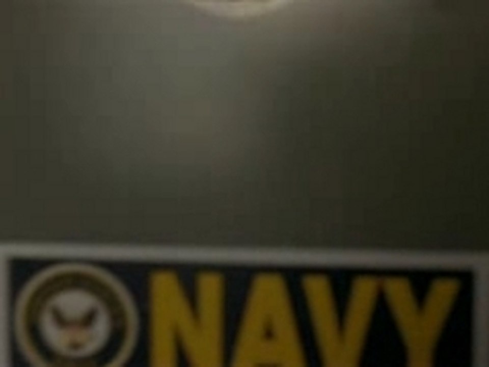 L'accouplement des cigales by Mozinor