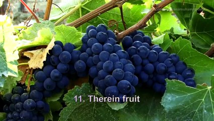 Surah 55 Ar-Rahman (The Beneficent) - Mishary Rashid Alafasy HD 1080p سورة الرحمن