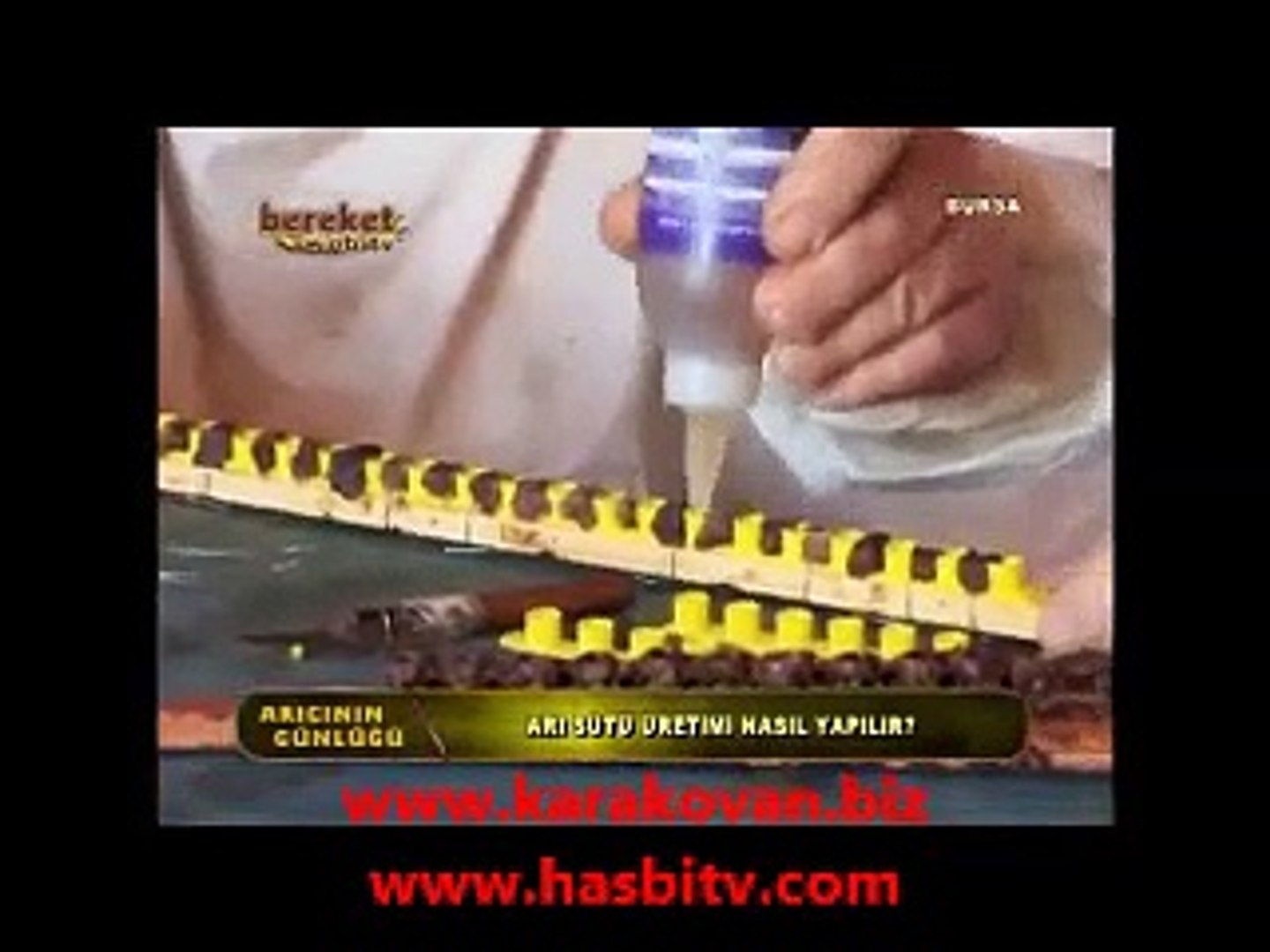 ari sutu nedir nasil uretilir 3 dailymotion video