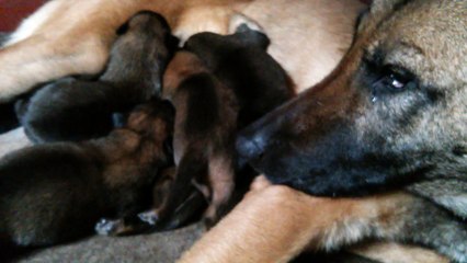 Be Aware H's @ Strong Will - Part 3