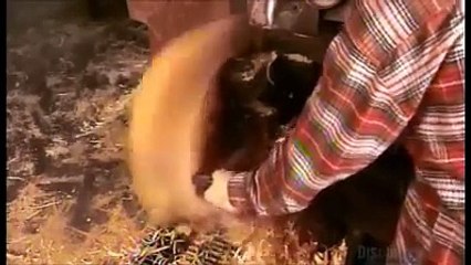 It,s really amazing Wooden Bowls - Voice Of Battagram