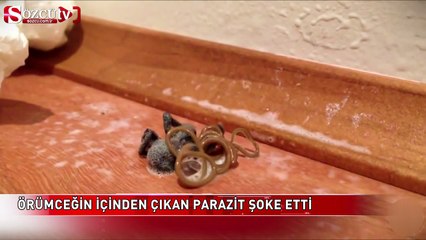 Örümceğin içinden çıkana inanamayacaksınız