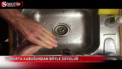 Yumurta kabuğundan böyle soyulur