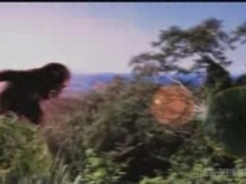 Fatboy Slim - Right Here Right Now