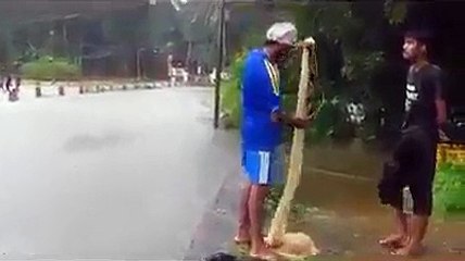 funniest video you have ever seen in life - Video Dailymotion