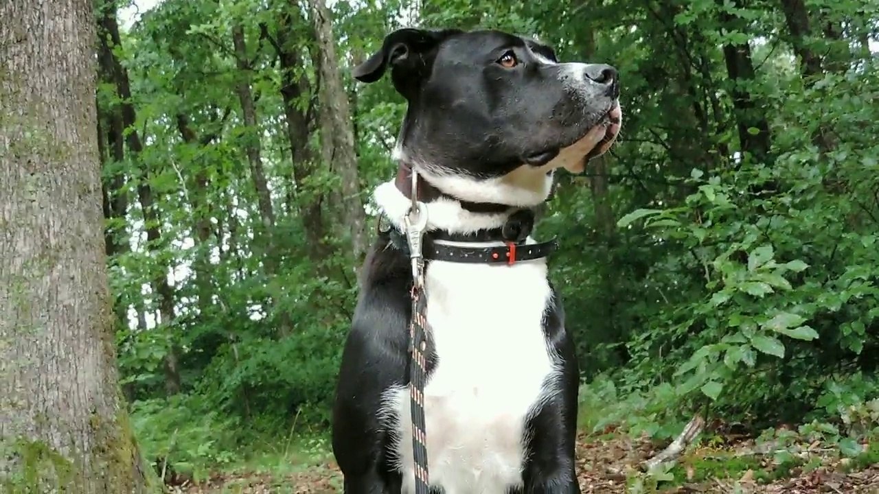 Le Rakuen promenades 2014-08 Issya HD