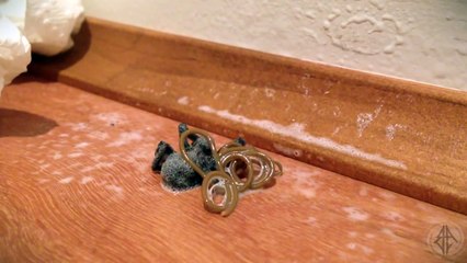 Beurk! Cette araignée n'était pas seule... dans son propre corps!