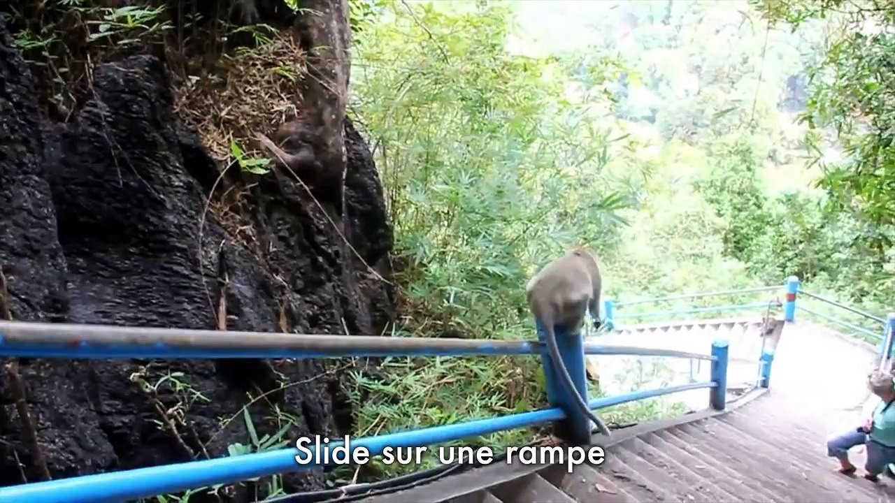 Le Zapping Zap #35