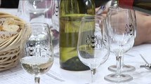 Dégustation-conseil des vins AOC Côtes de Toul