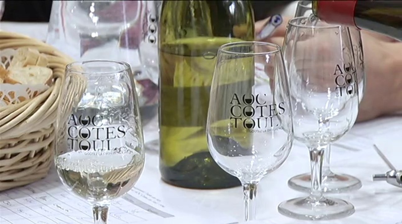 Dégustation-conseil des vins AOC Côtes de Toul