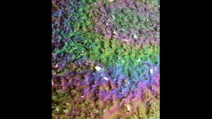 iridesenceflavtatiaméloche