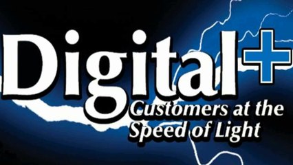 Local Search Engine Optimization Services What separates us from the big boys