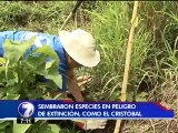 Decenas de voluntarios sembraron mil árboles en La Uruca y La Sabana