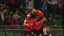 21/11/09 : Kader Mangane (10') : Rennes - Le Mans (2-1)