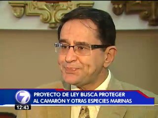 Pescadores y Marviva crean proyecto de ley para proteger al camarón