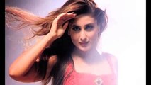 Udta Punjab   Kareena Kapoor   Shahid Kapoor   Alia Bhatt Plot Revealed.mp4