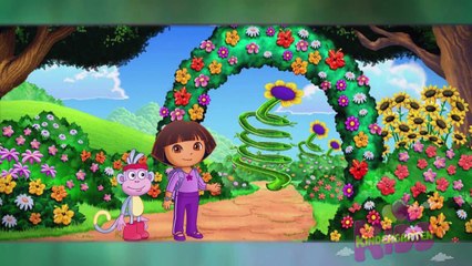 Dora Fantastic Gymnastics Adventure KindergartenKidd