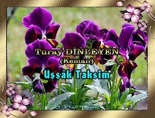 Turay DİNLEYEN (Keman) *Uşşâk Taksim*