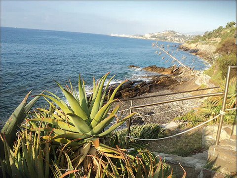 Il mare della Riviera dei Fiori da Hotel Lucciola di Santo Stefano al Mare