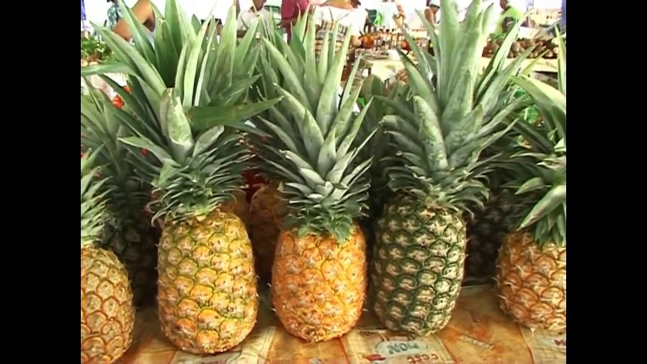 Les Antilles découverte des paysages paradisiaques de Martinique ( l'Ile aux fl