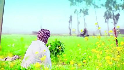 Dunia Dari: Menyelami Kehidupan dan Budaya