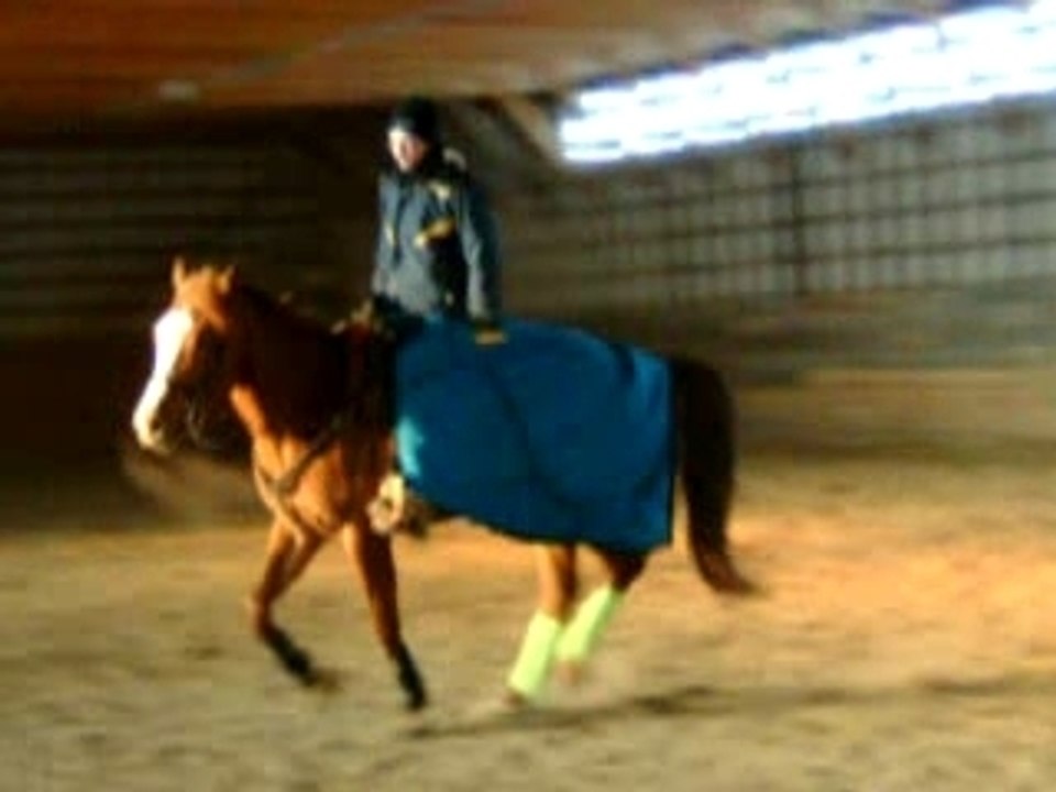Casey au gallop avec moi!