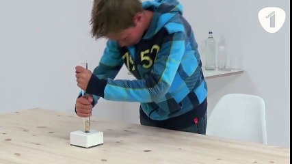 Así es como un chimpance supera en una prueba a un grupo de personas