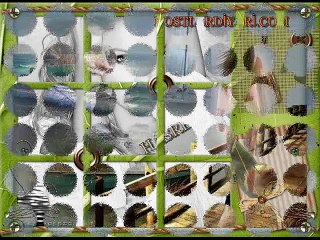 dostlardiyari.com BU DELİ SENSİZ YAŞARMI SANDIN