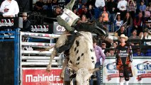 BBTV Weekly Bucking Bull Report - Week of 1/9/15